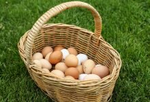 1649874685 Egg prices jump ahead of Easter Passover