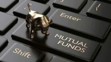 Amid huge jump in equity markets mutual funds added over