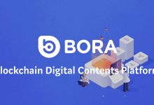 Bora Everything you need to know