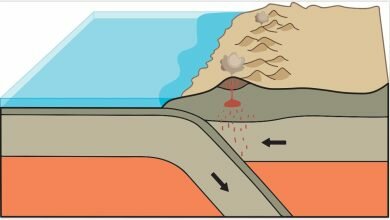 Early geochemical evidence of plate tectonics found in 38 billion