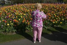 Flower power Dutch gardening expo opens near Amsterdam