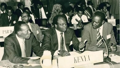 Mawai Kibaki Complicated But Dedicated Public Servant