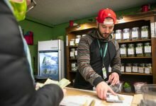 Montana Marijuana Sales Total 73M So Far This Year