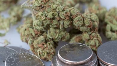 Pennsylvania Senate Approves Marijuana Banking Bill Sends It to the