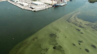 Study shows contaminated water from Florida mining facility dumped a