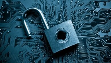 Surprising cyber security weak points business owners should look for