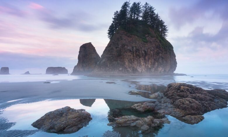 Camp at Second Beach Washingtons Most Beautiful Coastline