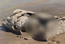 Corpse found inside barrel in Las Vegas lake could be