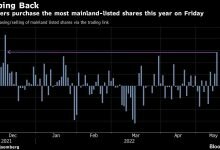 Hedge fund is bullish on China shares up 138 this