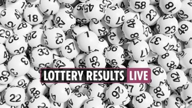 Lottery Results LIVE 052022 Mega Millions Jackpot has huge