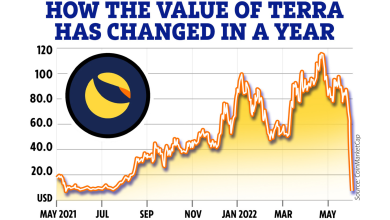 Luna Coin Price Prediction Why is the Price Dropping