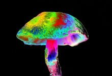 Psychedelic drug may help brain to treat depression