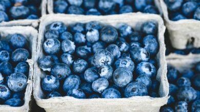 The good news about blueberries this fruit may help reduce