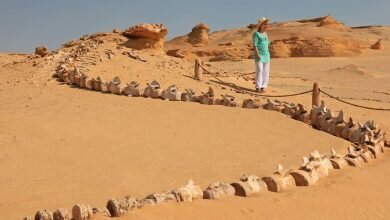 Travel through the Egyptian desert and see the Valley of