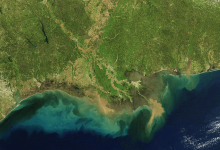 1654124218 How the Gulf of Mexico survived the ancient mass extinction