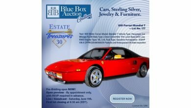 1654294133 Estate of Treasures A Virginia business executives exotic vehicle and