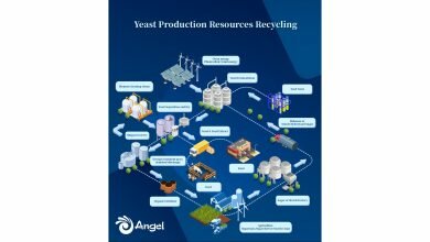 1654435054 Angel Yeast Omenta La Contratacion de Nuevas Energias Para Frener