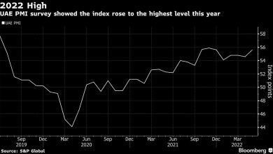 Inflation cant stop UAEs biggest business this year