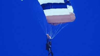 Optimism Token Drops 65 After Hyped Airdrop Decrypt