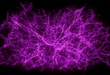 Time Machine Simulations May Unravel Mysteries of the Cosmic Web