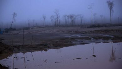 Troubled Peru ignores the devastation of the Amazon